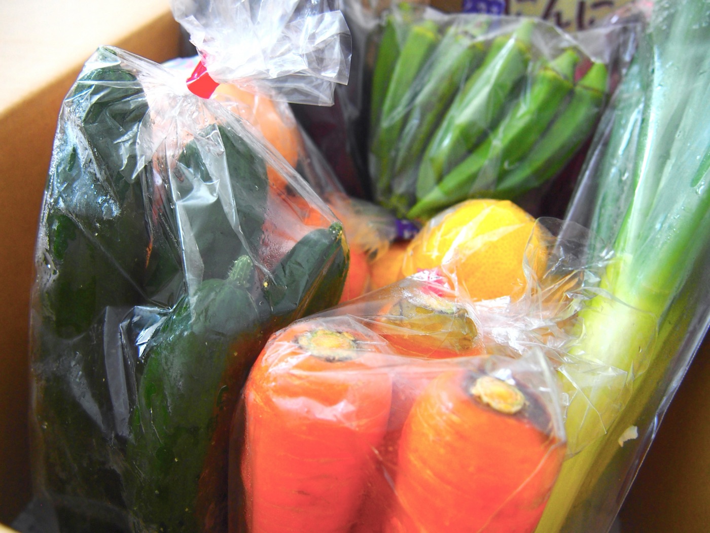 高知県 高知野菜セット